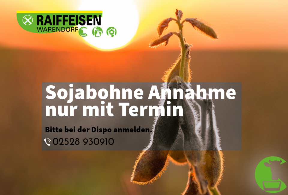 Sojabohne Annahme nur mit Termin